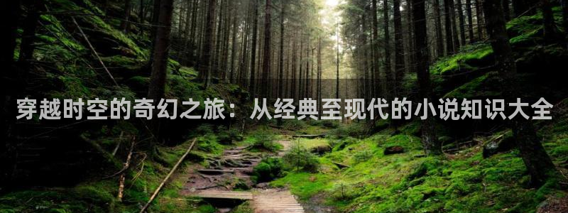 牛眼看书排行榜：穿越时空的奇幻之旅：从经典至现代的小说知识大全